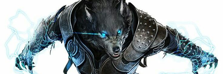 Pablo__bello's profile banner image