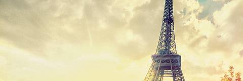 ninavanstippent's profile banner image