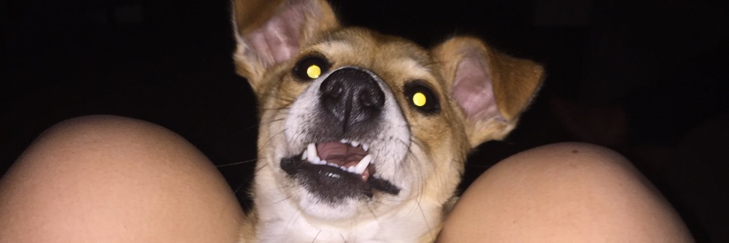ChloMurphh's profile banner image