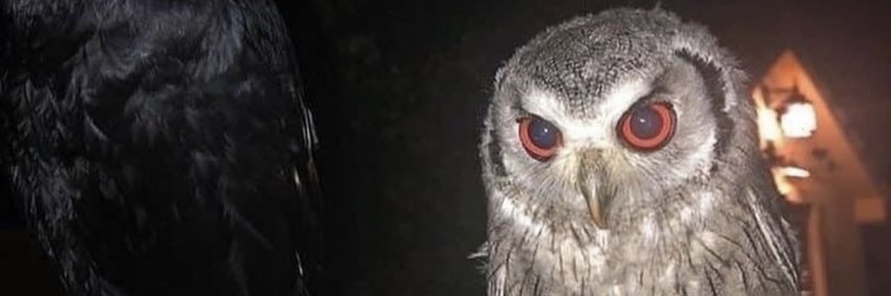 MckennaColton's profile banner image