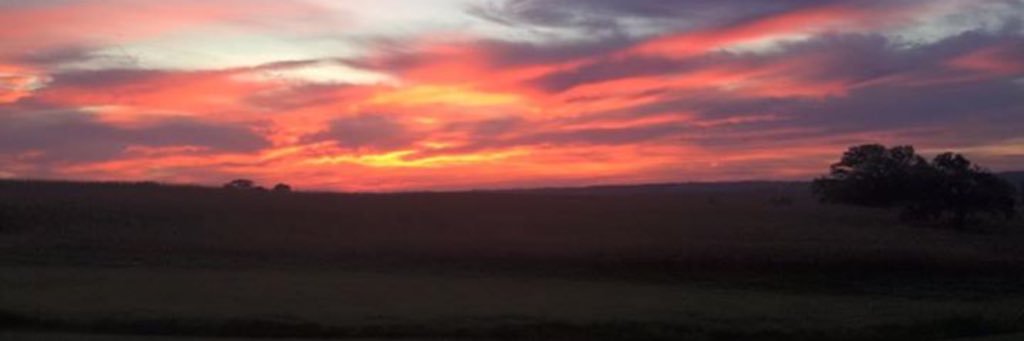 MarkaylaMahr's profile banner image