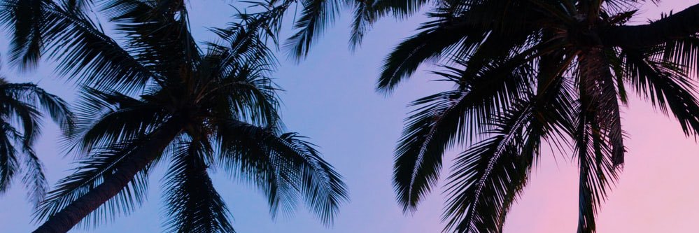 shmxgol's profile banner image