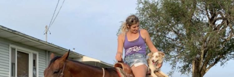 WilliamsBree's profile banner image