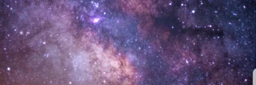 BeeBossy's profile banner image