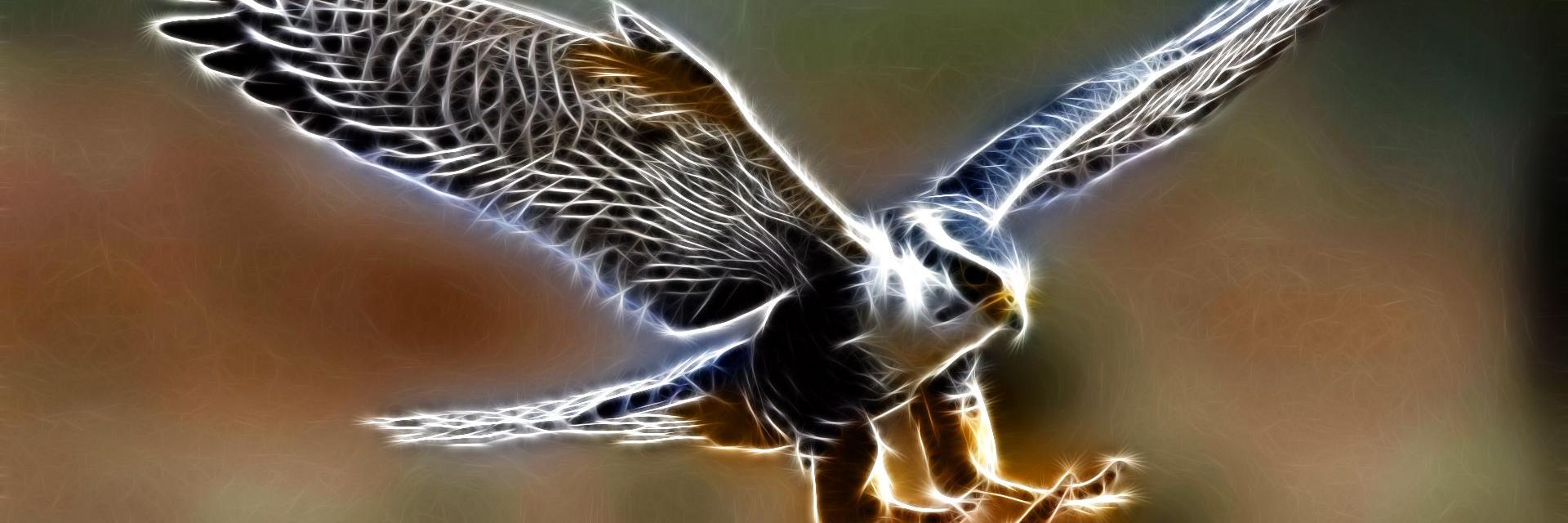 patrick_beitman's profile banner image
