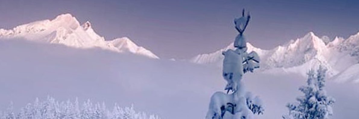 chssaforse's profile banner image