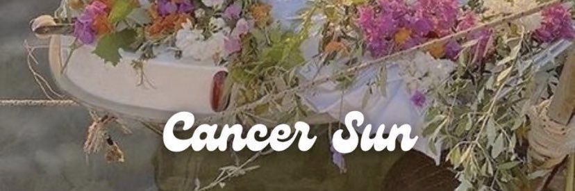 RoyalTE95's profile banner image
