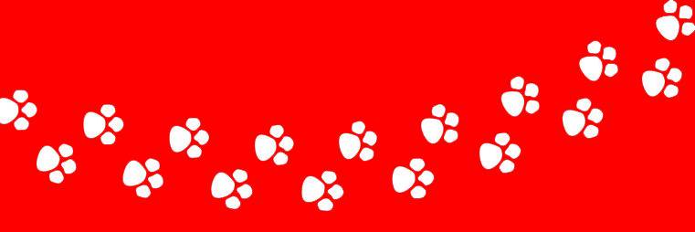 MOH_MPS's profile banner image