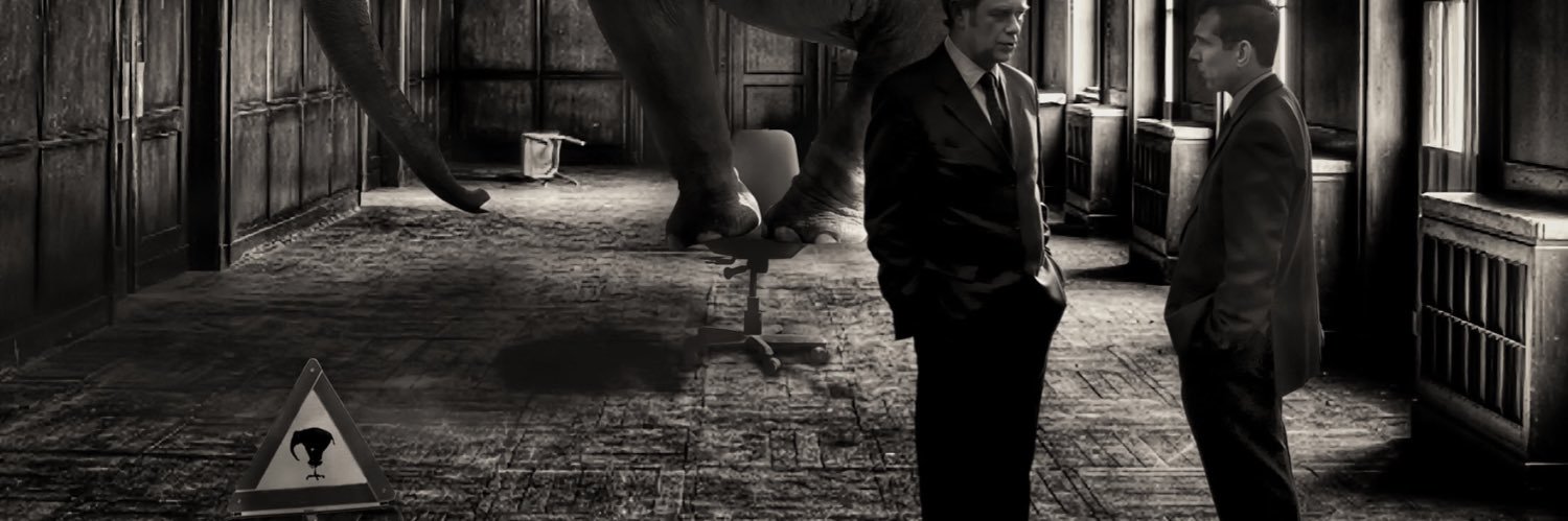Dr_Policy's profile banner image