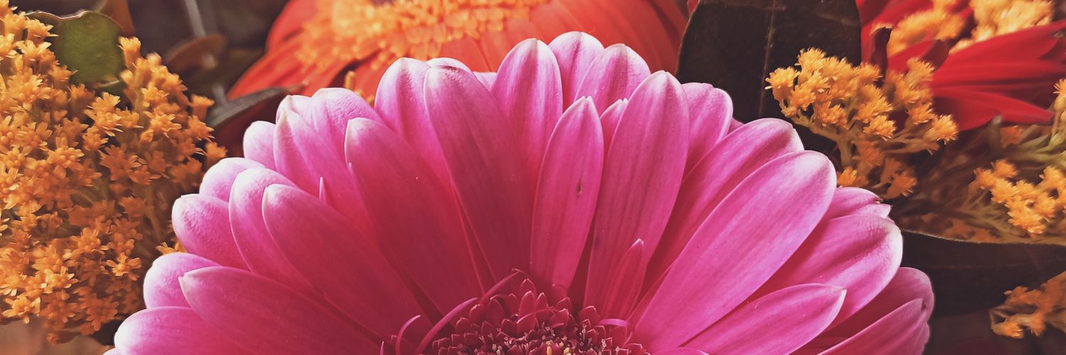 Denny 🌸 banner