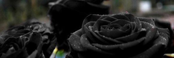 Day_do__'s profile banner image