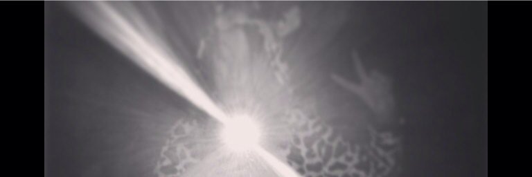 Chloe_layne26's profile banner image
