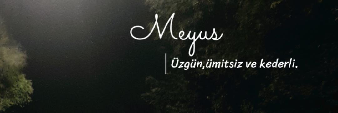 Nskrmgl's profile banner image