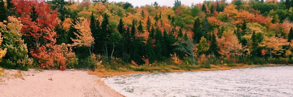 Hailbudden's profile banner image