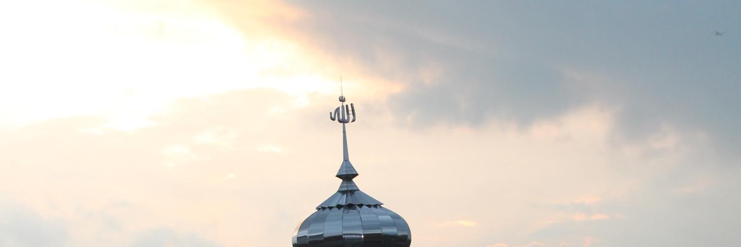 sriani3's profile banner image