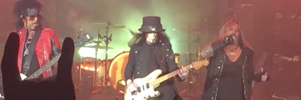 tisoyspiders Profile Banner