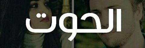 ali_tapark's profile banner image