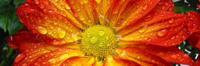 SanjayKumar_12's profile banner image