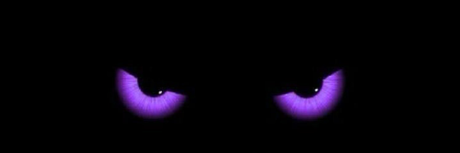weshcoast4's profile banner image