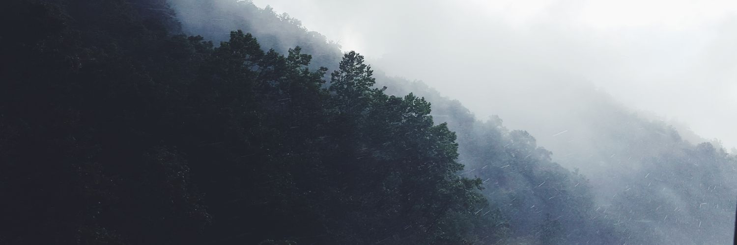 AnthonyKile's profile banner image