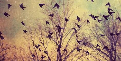 Miriam_Esteban's profile banner image