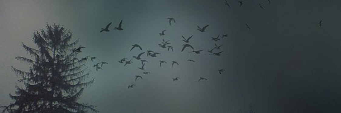 Jannik banner