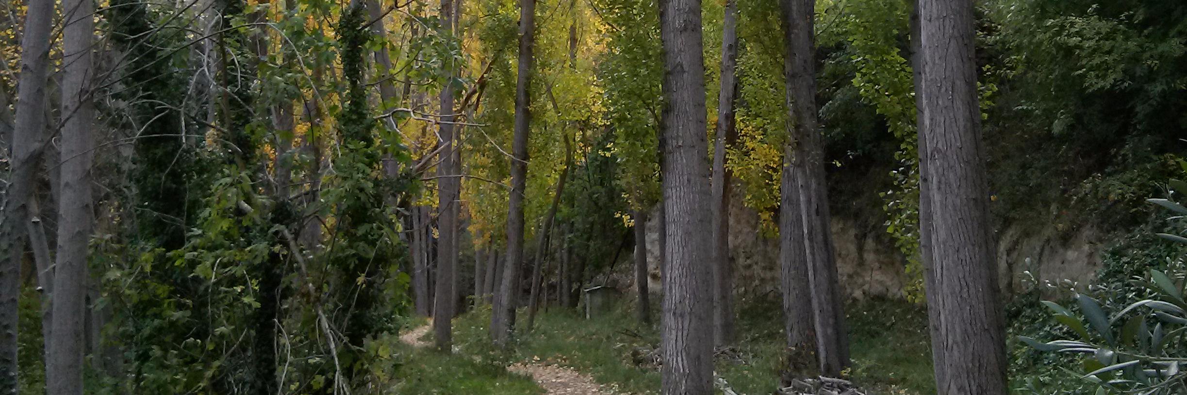 GarciaSarabel's profile banner image