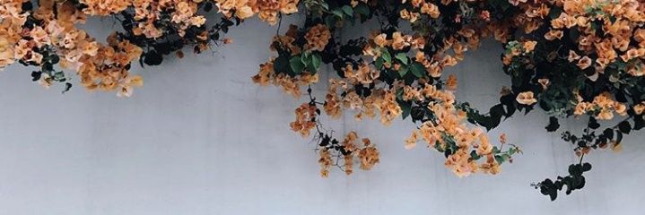 pjoyiv's profile banner image