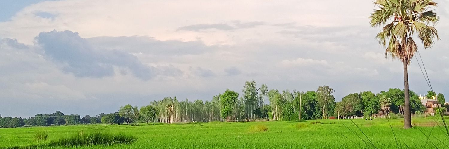 Rtshdubey's profile banner image