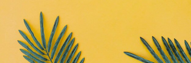 r0osea's profile banner image