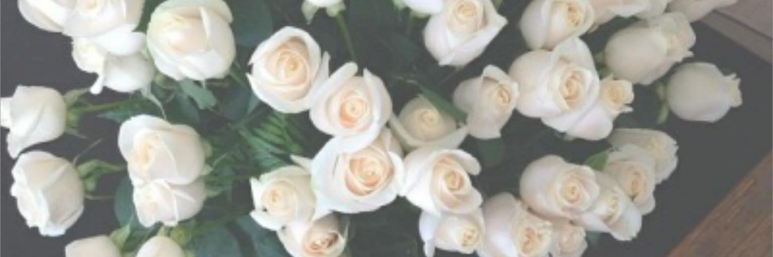 Kamiitiss's profile banner image