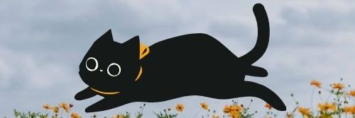 parkrara151's profile banner image