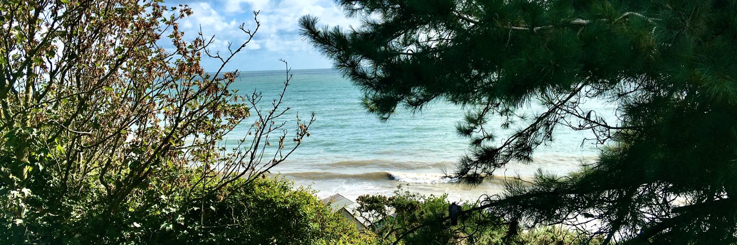 Pamela N 🐾🐦 banner