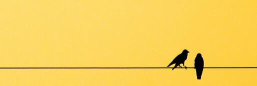 ryo1ota's profile banner image