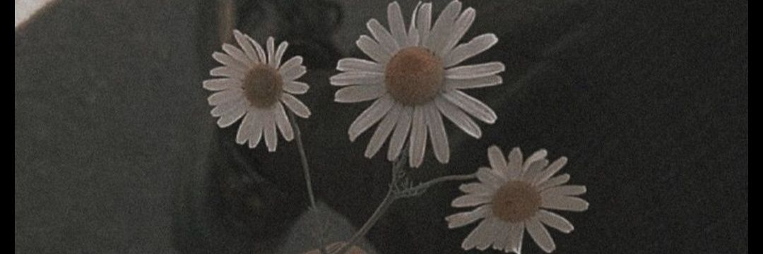 lu_star's profile banner image