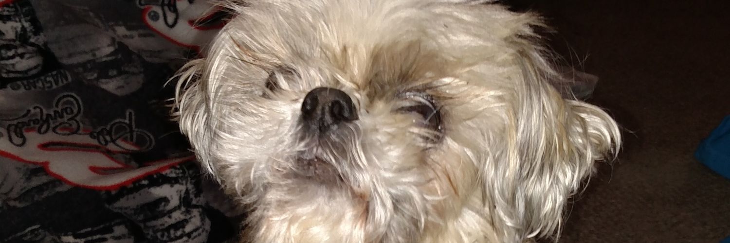 SamMahoney16's profile banner image