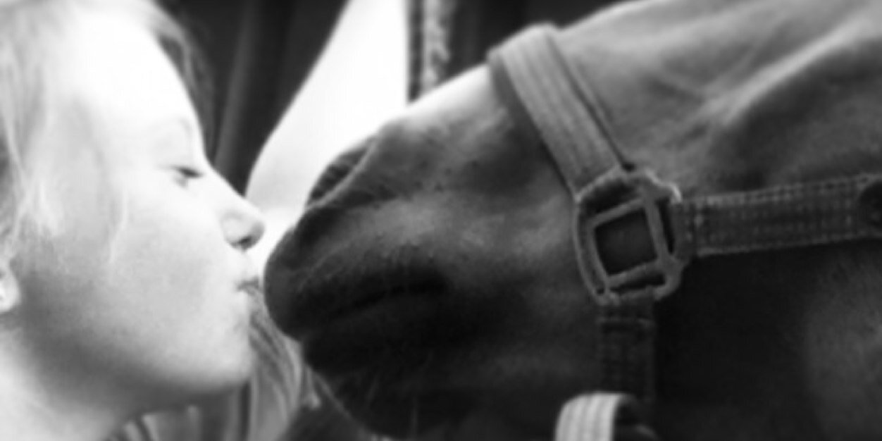 annalovesamber's profile banner image