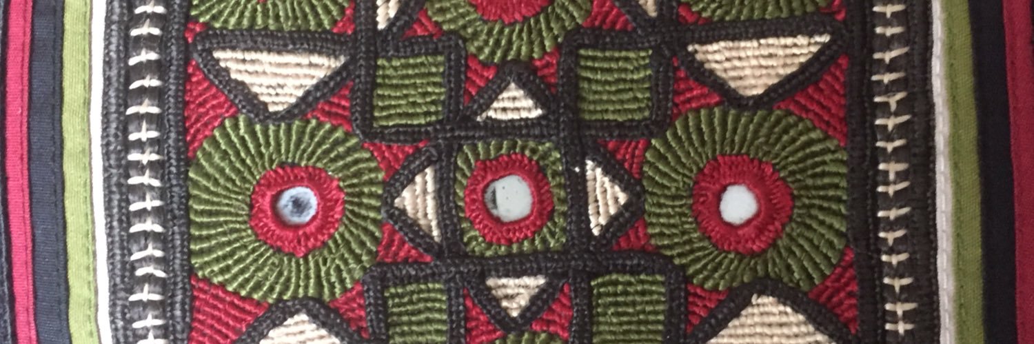 Prof Lyla Mehta banner