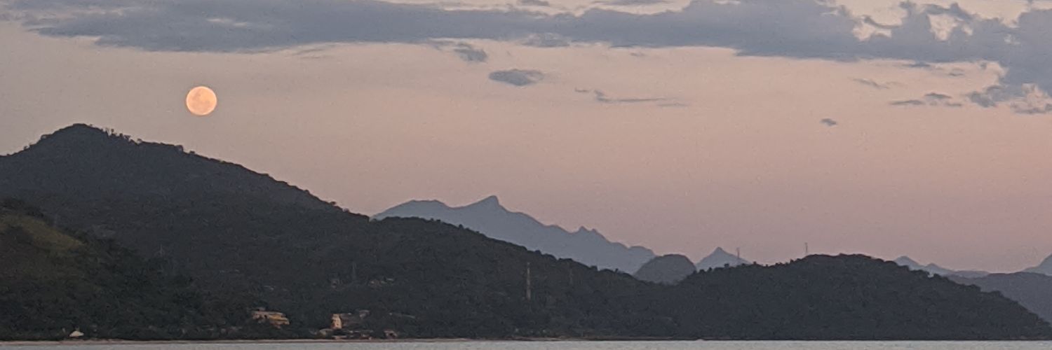 lariissaz_'s profile banner image