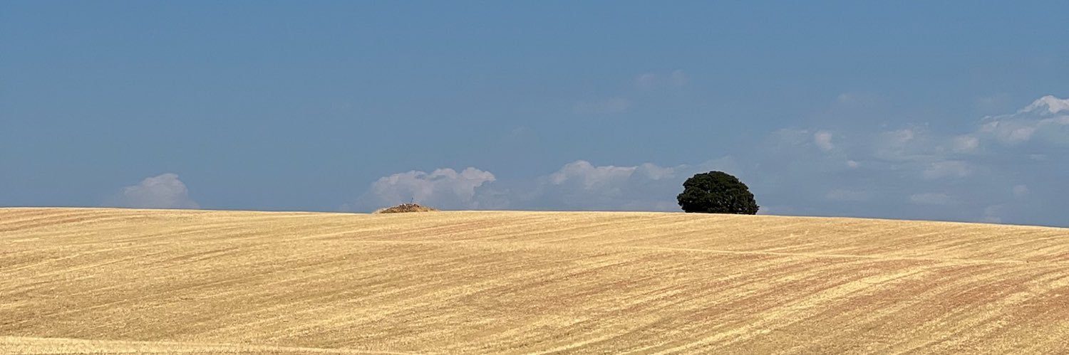 rafalido's profile banner image