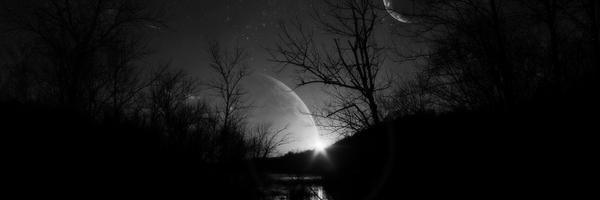 Ansel_Crow Profile Banner