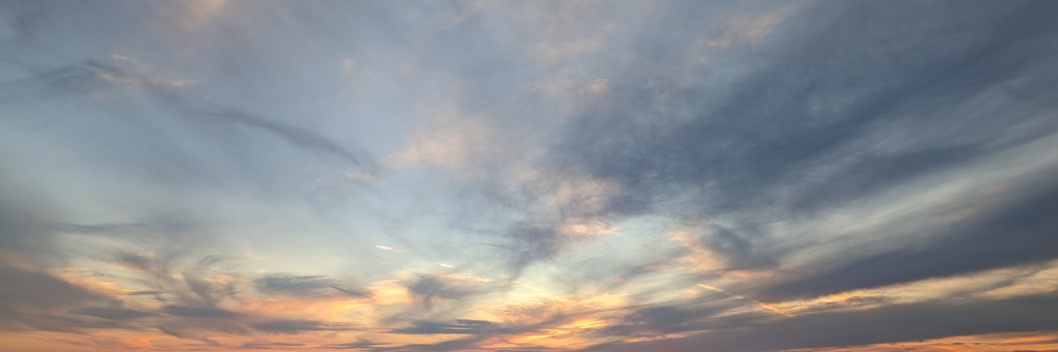 Bea Viñal Murciano banner