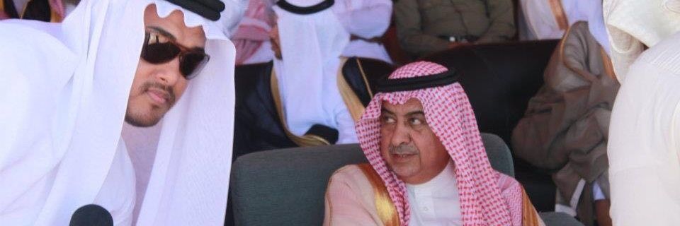 alarakany's profile banner image
