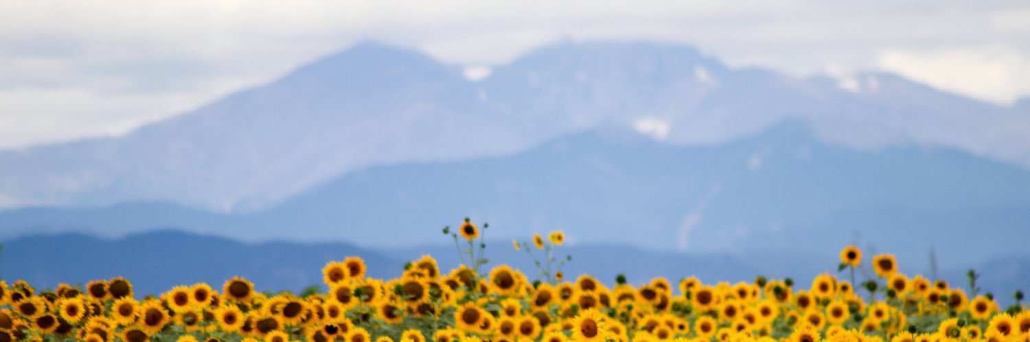 CTMylius's profile banner image