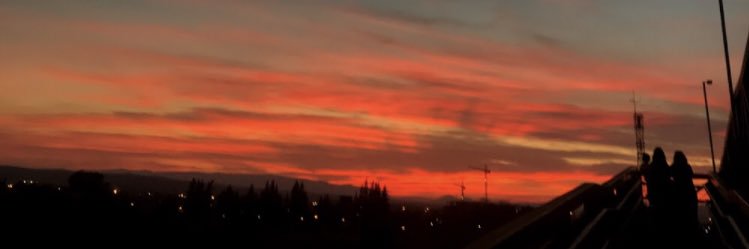 ireeneefdzz's profile banner image