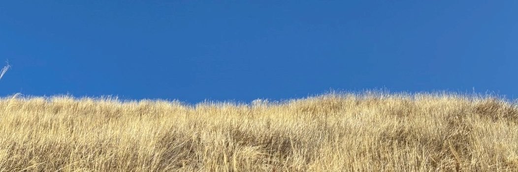 marich_xx's profile banner image