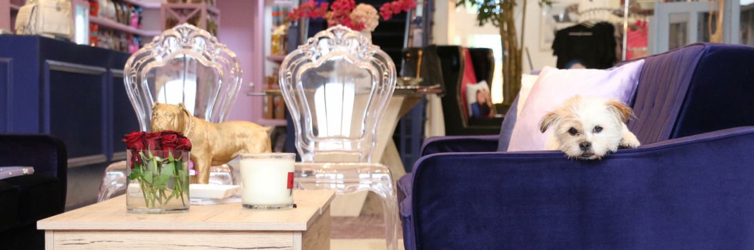 Vanderpump Dogs banner