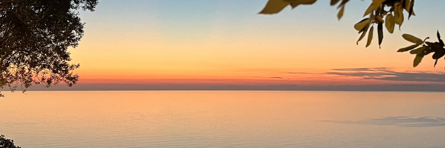 typhvic's profile banner image
