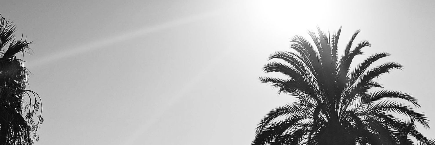 MeggieMaggo's profile banner image