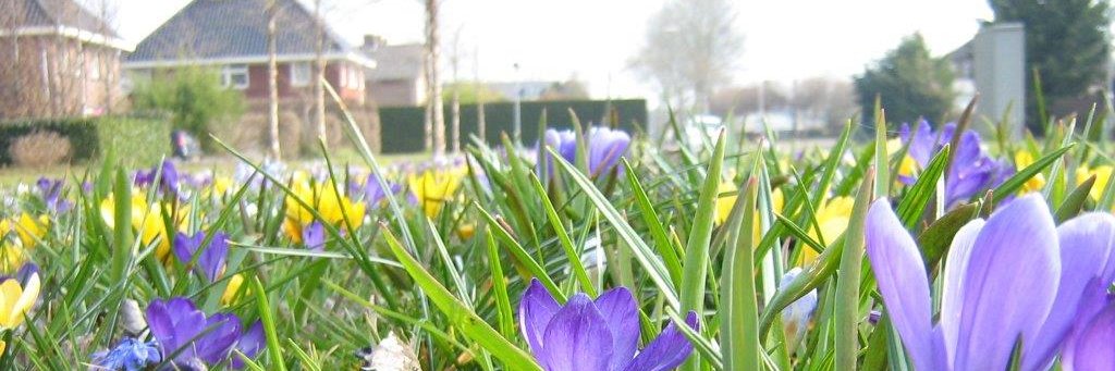 gemeenteWMW's profile banner image